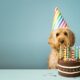 Gâteau d'anniversaire pour chien